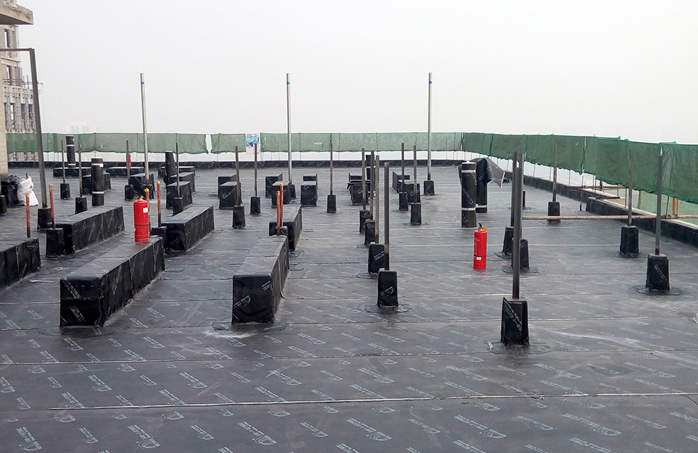 首页- 不朽情缘电子游戏官网