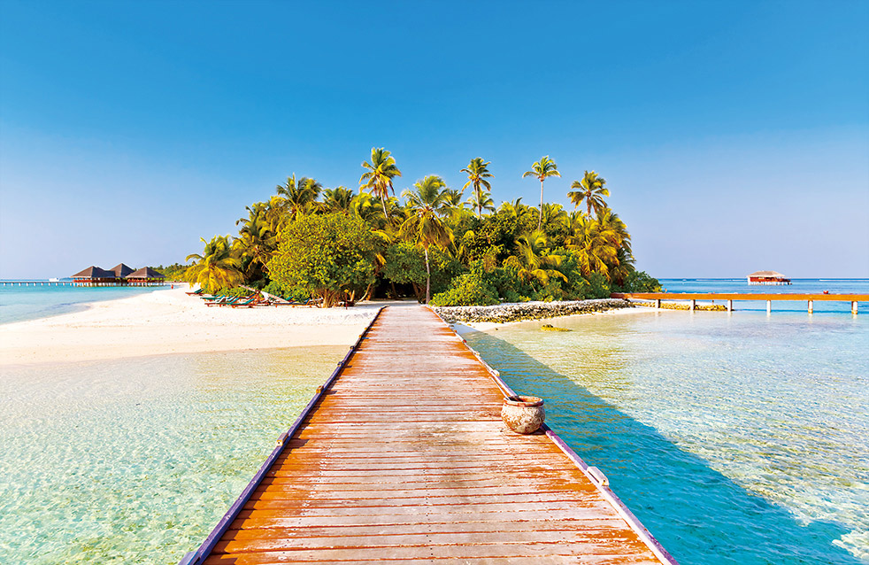 首页- 不朽情缘电子游戏官网