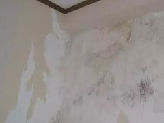 首页- 不朽情缘电子游戏官网