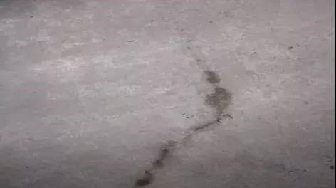 1_190802105435_1 首页- 不朽情缘电子游戏官网