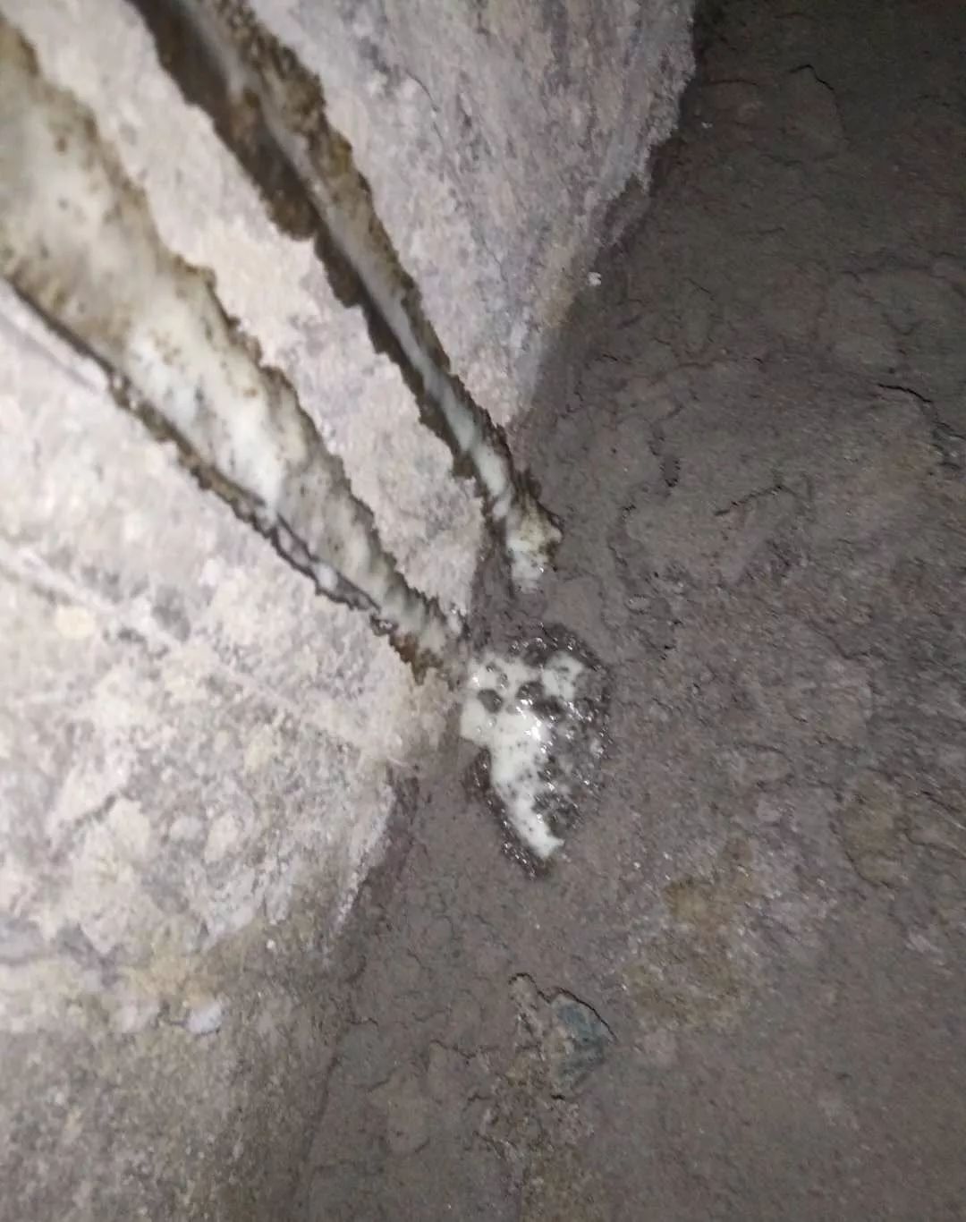 1_190821092448_1 首页- 不朽情缘电子游戏官网