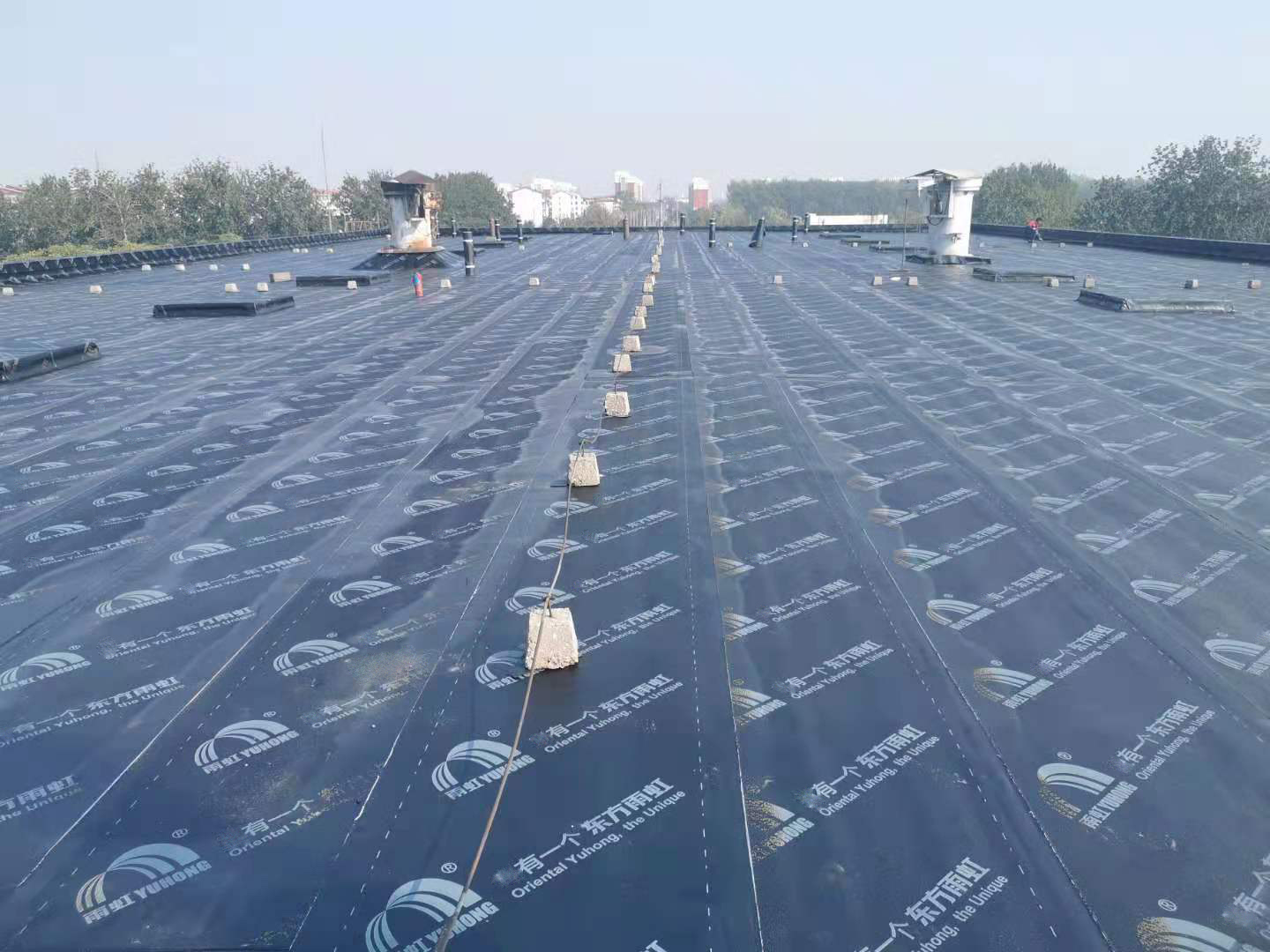 1_200323112451_1 首页- 不朽情缘电子游戏官网