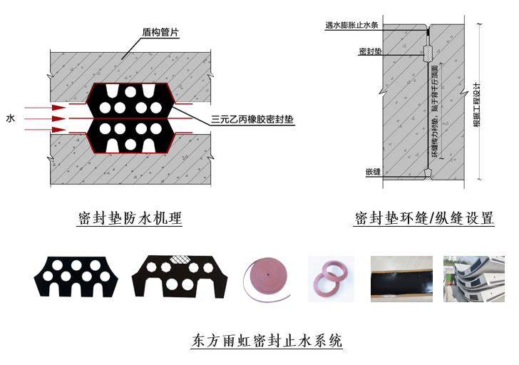 1_211214092753_1 首页- 不朽情缘电子游戏官网