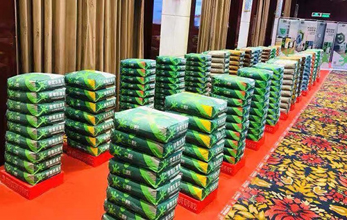 首页- 不朽情缘电子游戏官网